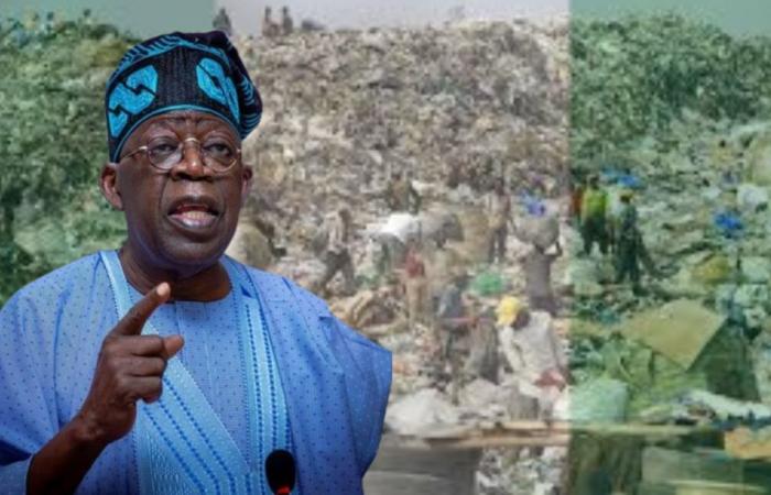 Nigeria: los plásticos de un solo uso estarán prohibidos en 2025