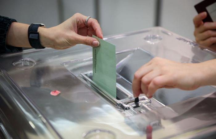 Elecciones legislativas | Los expatriados franceses están llamados a las urnas