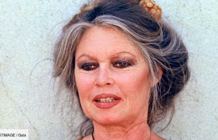 Brigitte Bardot cobra al morir: este lugar donde quiere “descansar por la eternidad”