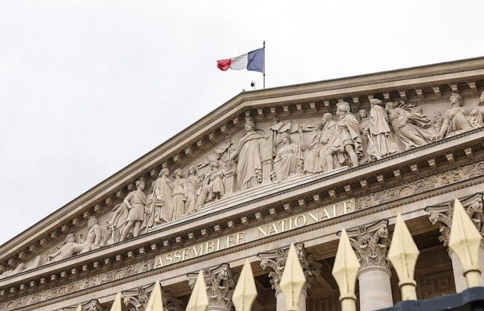 Elecciones legislativas francesas: los colegios electorales abiertos en el extranjero