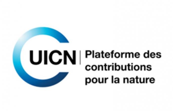 La organización internacional UICN está reclutando para este puesto (29 de junio de 2024)