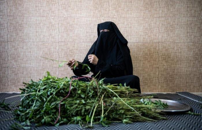 En Raqqa, la delicada reintegración de las ex “mujeres Daesh”