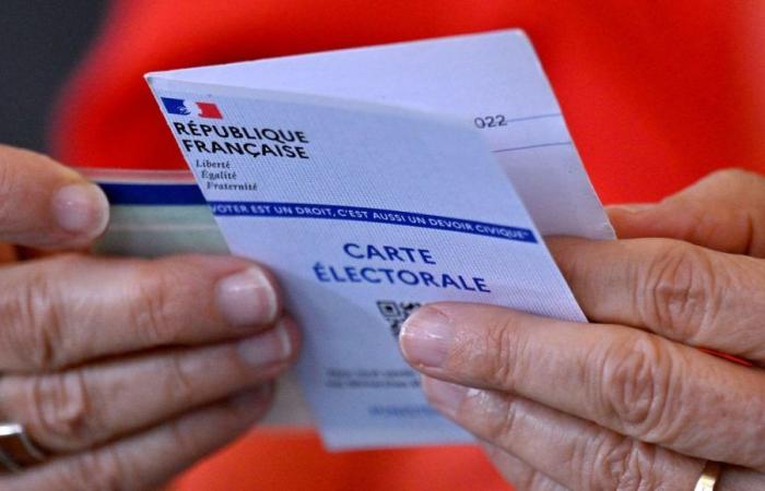 Elecciones legislativas 2024: instrucciones para la 1.ª vuelta en Loiret
