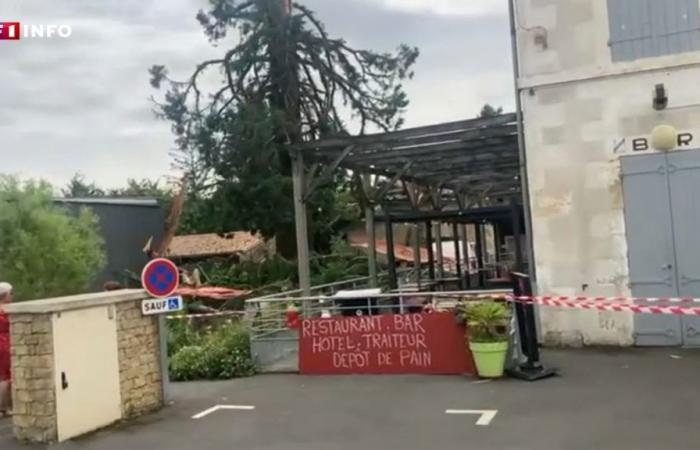 VÍDEO – Tormentas: un rayo hace explotar una secuoya centenaria en Deux-Sèvres