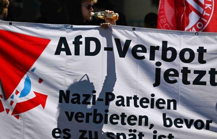 Manifestantes protestan contra el congreso de AfD