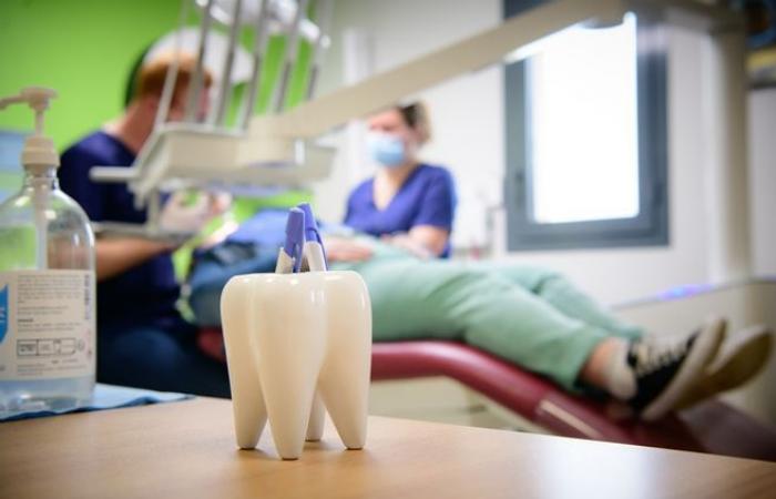 ¿Cómo atraer nuevos dentistas a zonas desfavorecidas de Nouvelle-Aquitaine?