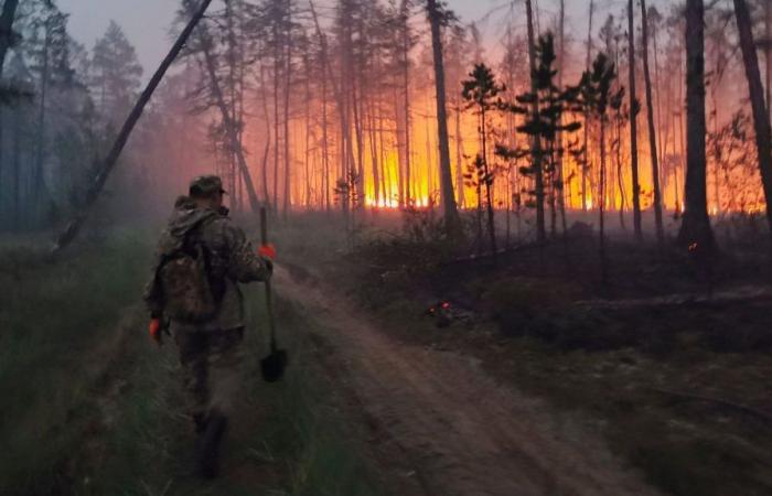 Los incendios forestales del Ártico que asolan el extremo norte de Rusia liberan megatones de carbono