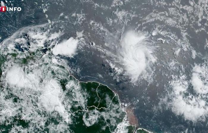 Martinica: la tormenta Béryl amenaza con convertirse en huracán antes de llegar a las Antillas