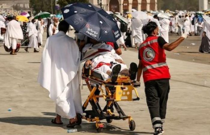 Casos de Covid traídos de La Meca: actualización de salud semanal