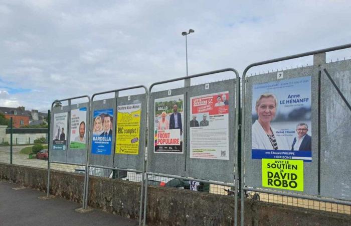 Elecciones legislativas de 2024: ¿quién lidera el distrito electoral de Vannes en Morbihan?