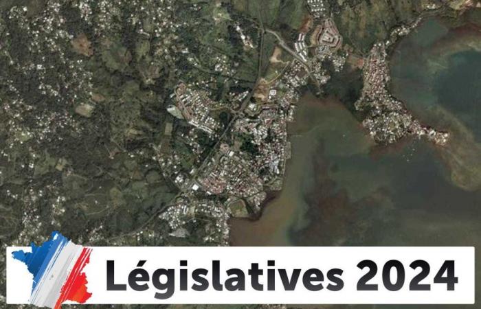 Resultados de las elecciones legislativas en Robert: las elecciones de 2024 en directo