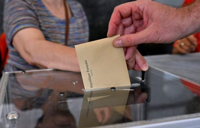 Elecciones legislativas 2024: descubra los resultados de la primera vuelta en Drôme