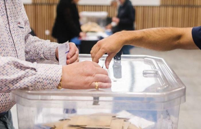 Elecciones legislativas 2024: los resultados de la 1.ª vuelta en Alto Garona
