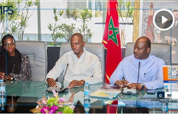 SENEGAL-ECONOMIE-DIASPORA / APIX quiere crear “cooperativas agrícolas de la diáspora” – agencia de prensa senegalesa