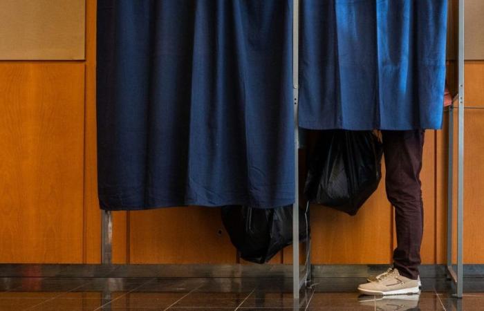 Elecciones legislativas 2024: encuentre todos los resultados de la 1.ª vuelta en Alsacia