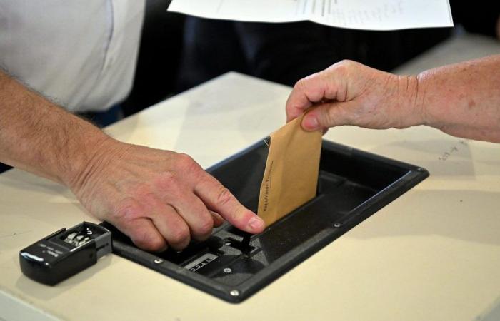 Elecciones legislativas 2024: resultados, reacciones, sigue la velada electoral en Loiret con France Bleu Orléans