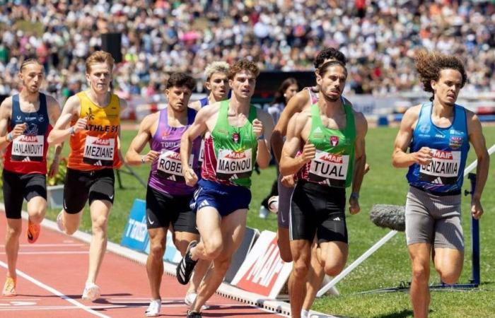 Atletismo. A más de 800 metros, en Angers, Gabriel Tual deleita y Yanis Meziane desilusiona