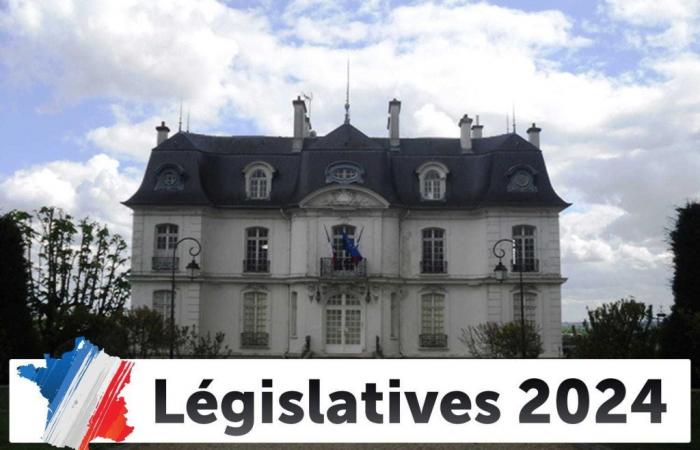 Resultados de las elecciones legislativas en Athis-Mons: las elecciones de 2024 en directo