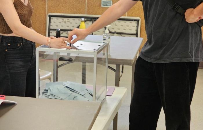 Elecciones legislativas en Val-de-Marne: resultados y análisis, por ciudad y por circunscripción