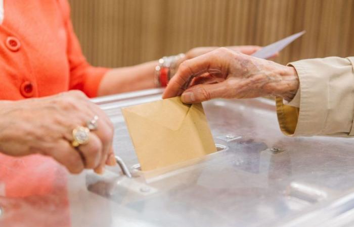 Elecciones legislativas 2024: los resultados de la 1.ª vuelta en Hérault