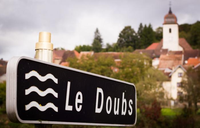 MAPA. Elecciones legislativas de 2024 en Doubs. Descubra los resultados de la 1.ª ronda en su departamento y circunscripción