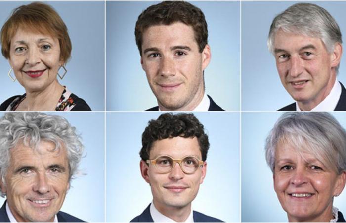 Elecciones legislativas de 2024 en Saint-Étienne y el Loira: candidatos cualificados en la segunda vuelta
