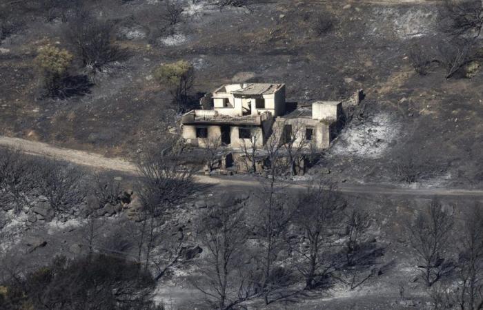 Grecia: dos grandes incendios forestales en la región de Atenas, un verano difícil por delante