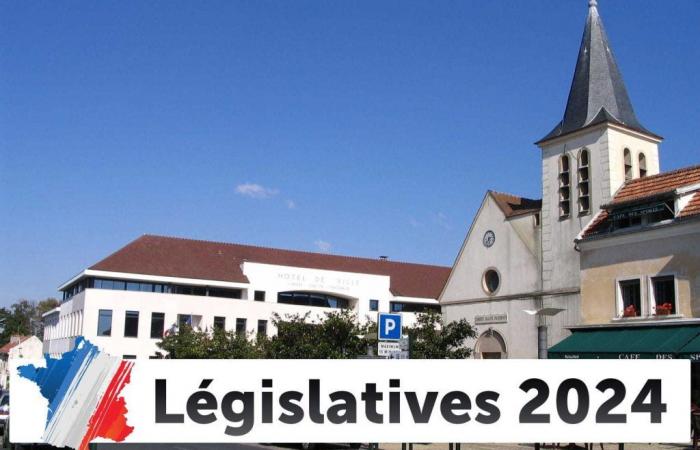 Resultados de las elecciones legislativas en Champs-sur-Marne: las elecciones de 2024 en directo