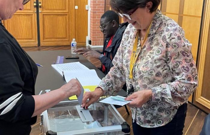 Primera vuelta de las elecciones legislativas en Val-de-Marne: tasa de participación del 18,29% al mediodía