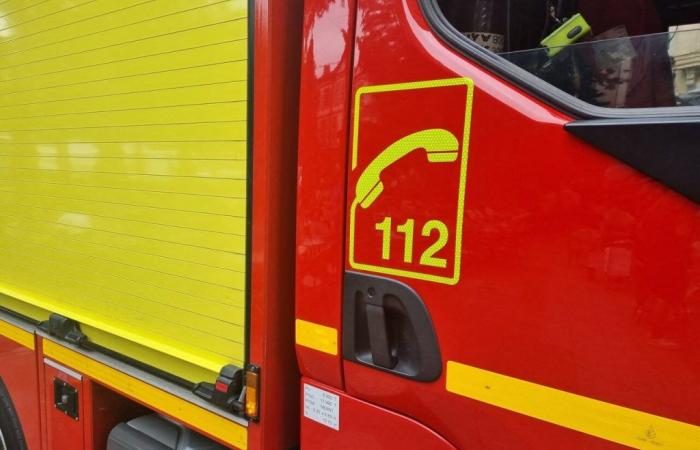 Cerca de Toulouse, tras un incendio en un EHPAD, tres personas resultaron envenenadas por el humo