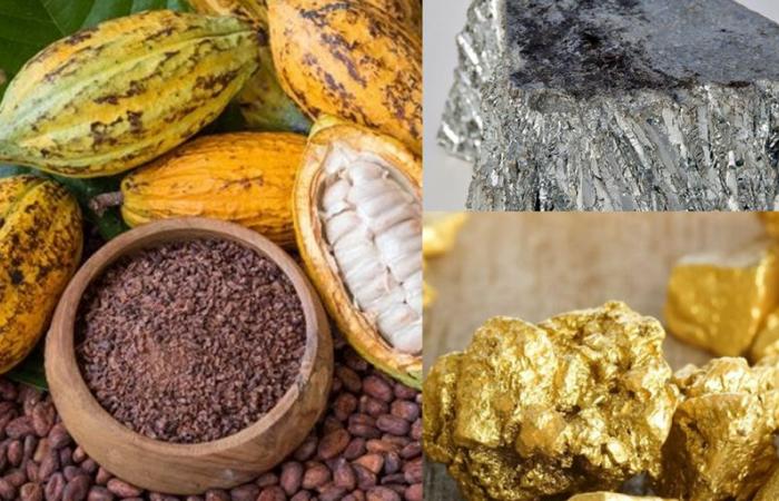 Materias primas: el cacao se desploma, el zinc avanza, el oro duerme
