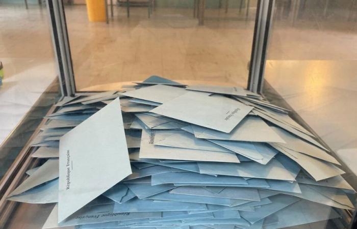 Elecciones legislativas en Altos del Sena: los resultados de la primera vuelta circunscripción por circunscripción