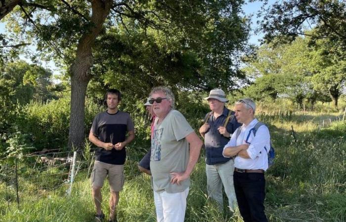 En Vannes, una asociación apoya a un agricultor para restaurar el campo bretón
