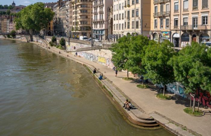 El Sena en París todavía no es apto para nadar, pero en Lyon los residentes podrán nadar en el Ródano
