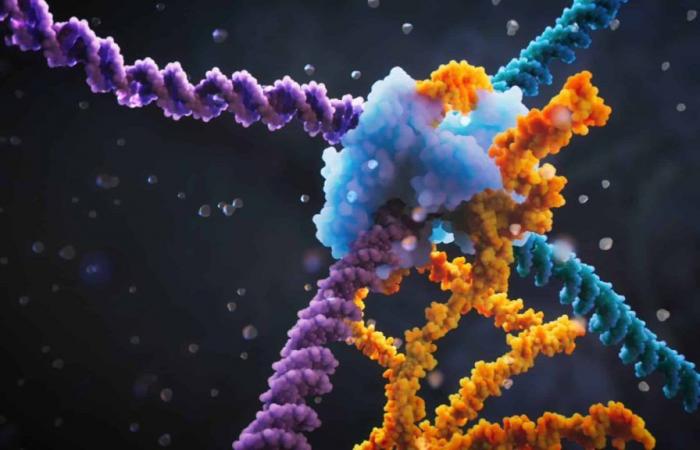 una nueva técnica de edición genética más eficiente y precisa que CRISPR