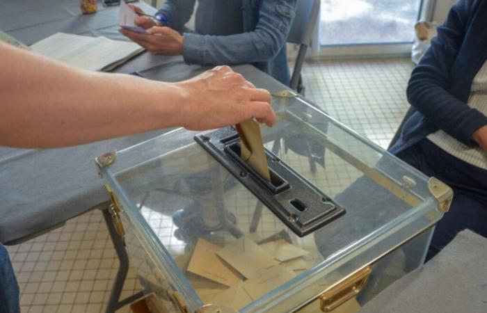 Elecciones legislativas de 2024 en Lorena: descubra los resultados de la primera vuelta en su municipio
