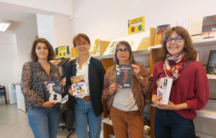 Mancha del Sur: diez novelas que compiten por el premio del lector en las mediatecas