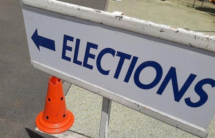 Elecciones legislativas 2024: los resultados de la primera vuelta en Sarthe, maremoto de la RN