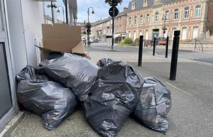 Huelga de recogida de residuos en Abbeville: los cubos de basura permanecen en la acera