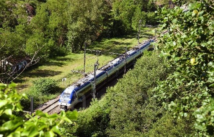 TORMENTAS. Interrupción del tráfico ferroviario en la línea Lyon Saint-Etienne