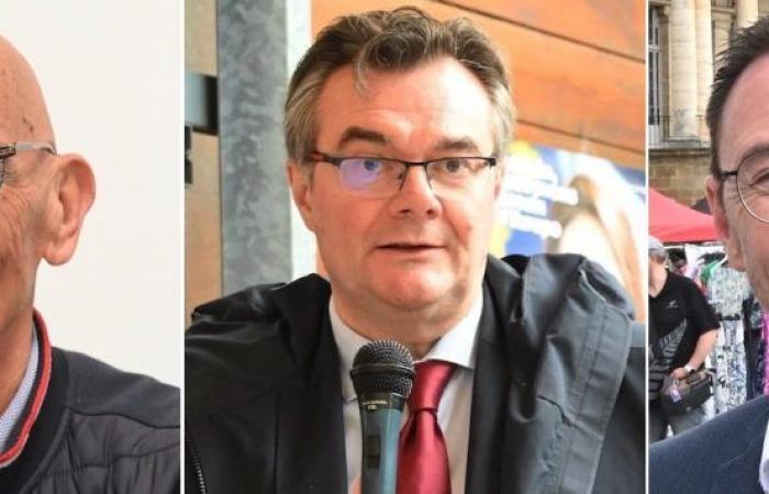 Legislativa (Saona y Loira): las reacciones de Aurélien Dutremble, Rémy Rebeyrotte y Richard Béninger en la tercera circunscripción