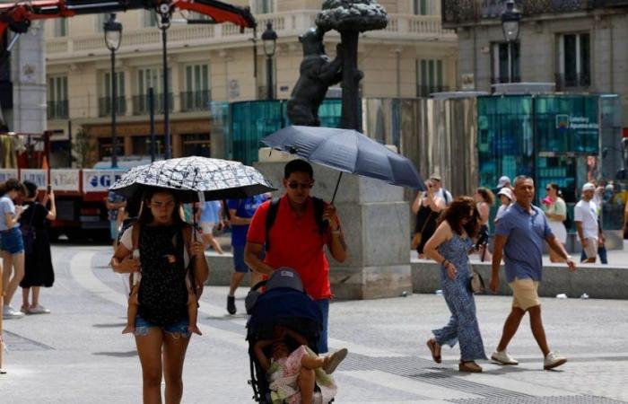 Altas temperaturas: Para combatir el calor, Madrid invita a los turistas a refugiarse en los museos