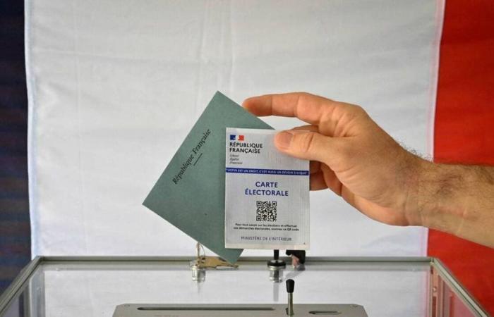 Elecciones legislativas 2024. La Agrupación Nacional a la cabeza en la circunscripción de Lisieux-Falaise