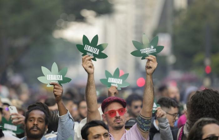 Posesión de cannabis despenalizada en Brasil: las nuevas reglas del juego