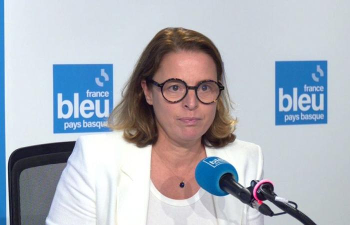 Elecciones legislativas 2024: Florence Lasserre retira su candidatura en la quinta circunscripción de Pirineos Atlánticos