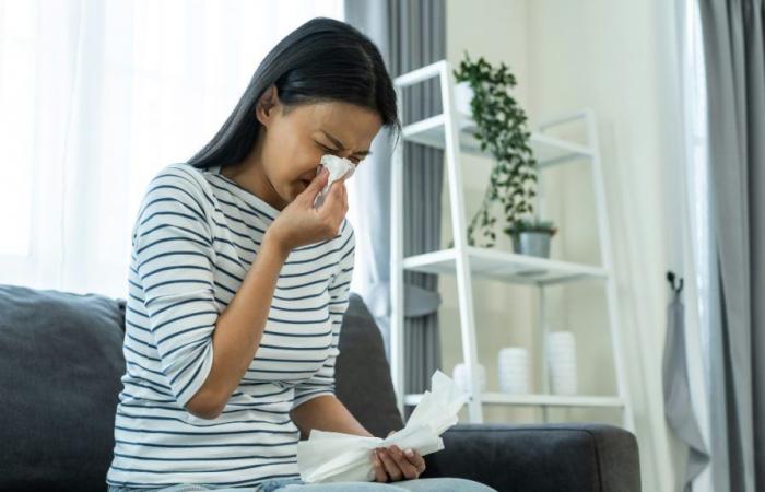 ¿Las alergias pueden desaparecer por sí solas?