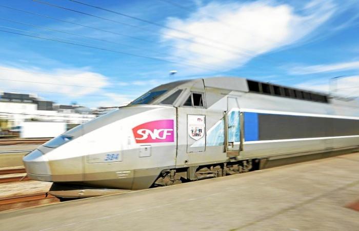 Condenado el agresor del conductor del TGV en Brest