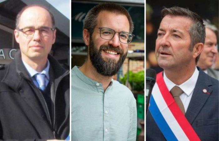 Elecciones legislativas de 2024 en Yvelines: triangular a la vista el día 12, Karl Olive a la cabeza