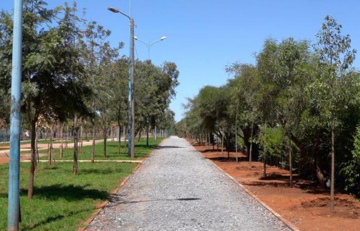 Casablanca. Aquí el avance de las obras de mejora y ampliación del parque deportivo Al Quds en Sidi Bernoussi