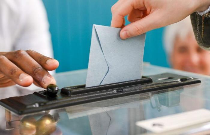 Elecciones legislativas de 2024 en Gironda: los candidatos que compiten por la segunda vuelta